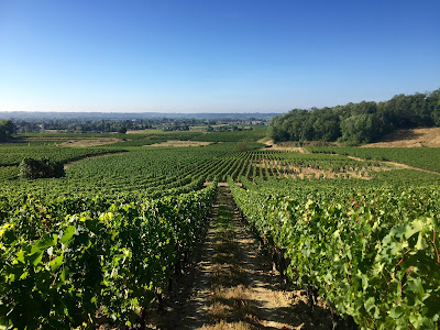 Château Beynat à Saint-Magne-de-Castillon