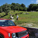 Photo n°1 de l'avis de Claudia.r fait le 06/07/2020 à 22:31 sur le  Le Casette di Laila Azienda Agricola Agriturismo à Colonno