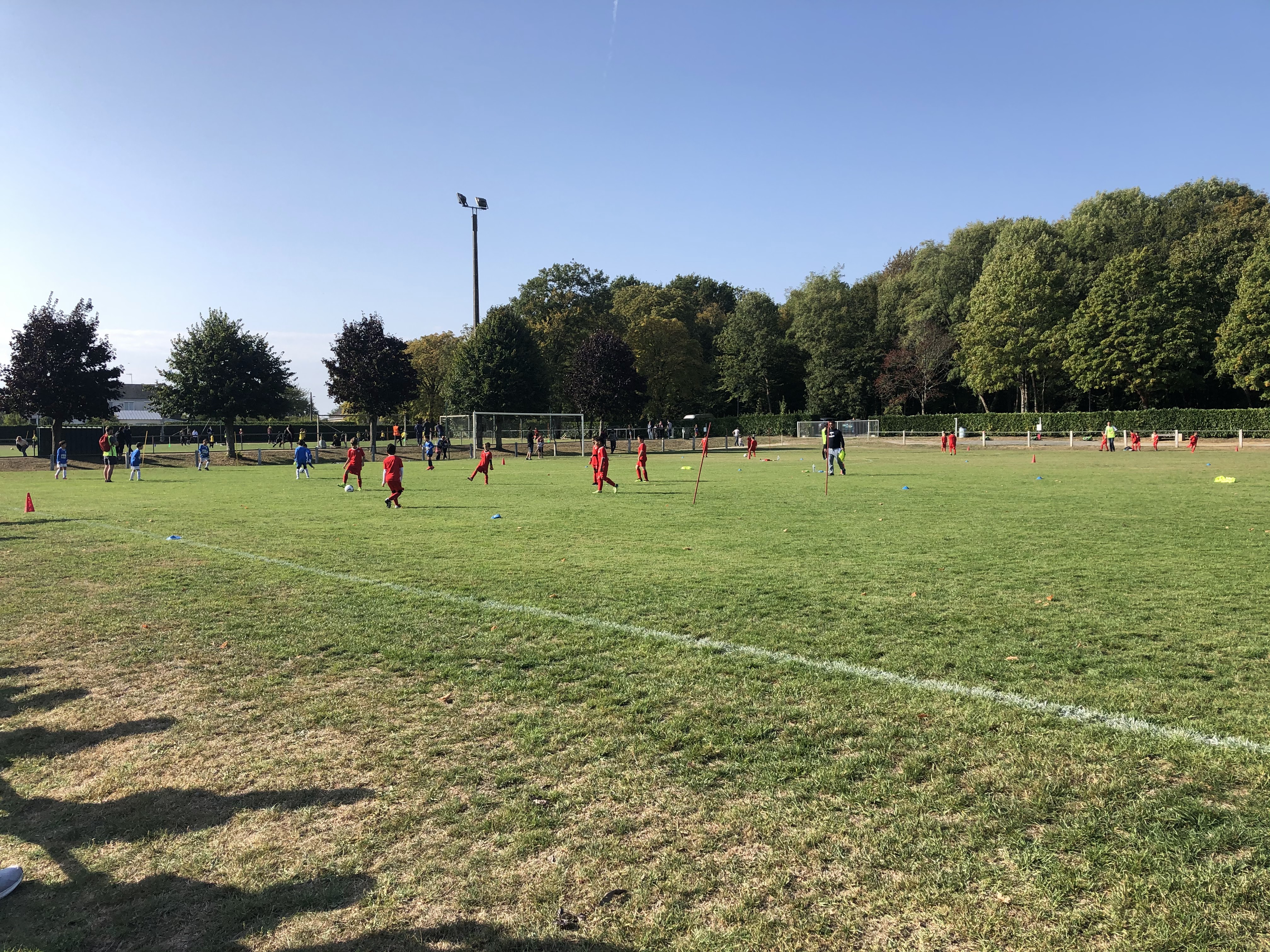 Photo n° 1 de l'avis de L’ange. fait le 21/09/2019 à 12:18