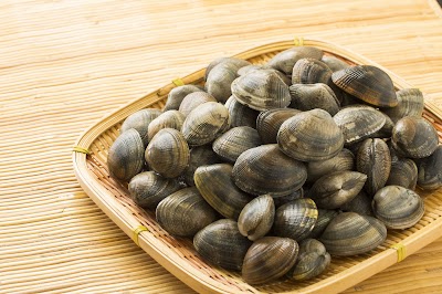 潮干狩り | 七浦海水浴場
