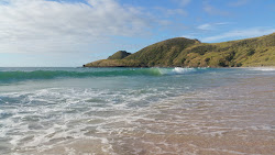 Maungapiko Beach'in fotoğrafı imkanlar alanı