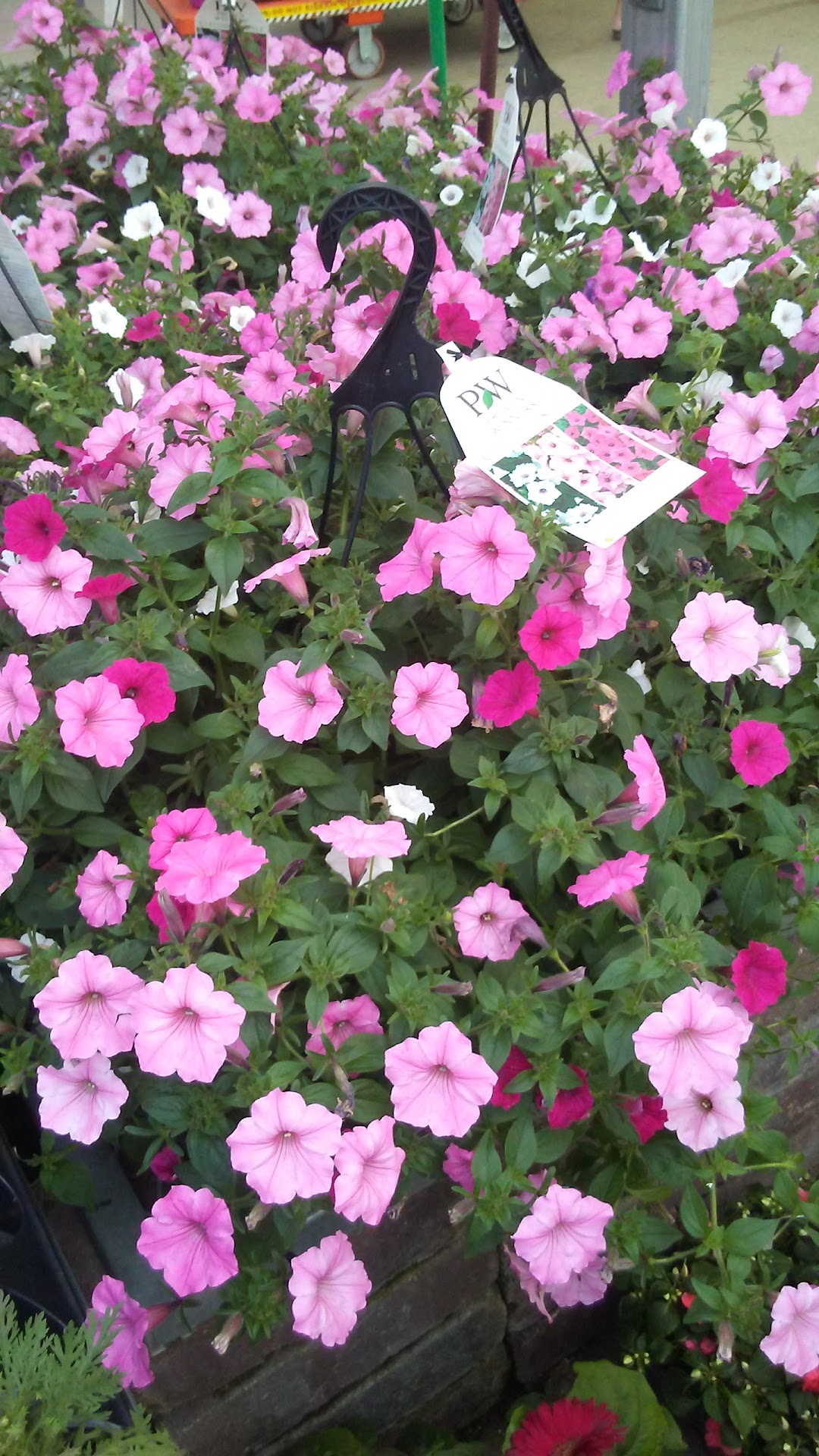 Garden Center at The Home Depot