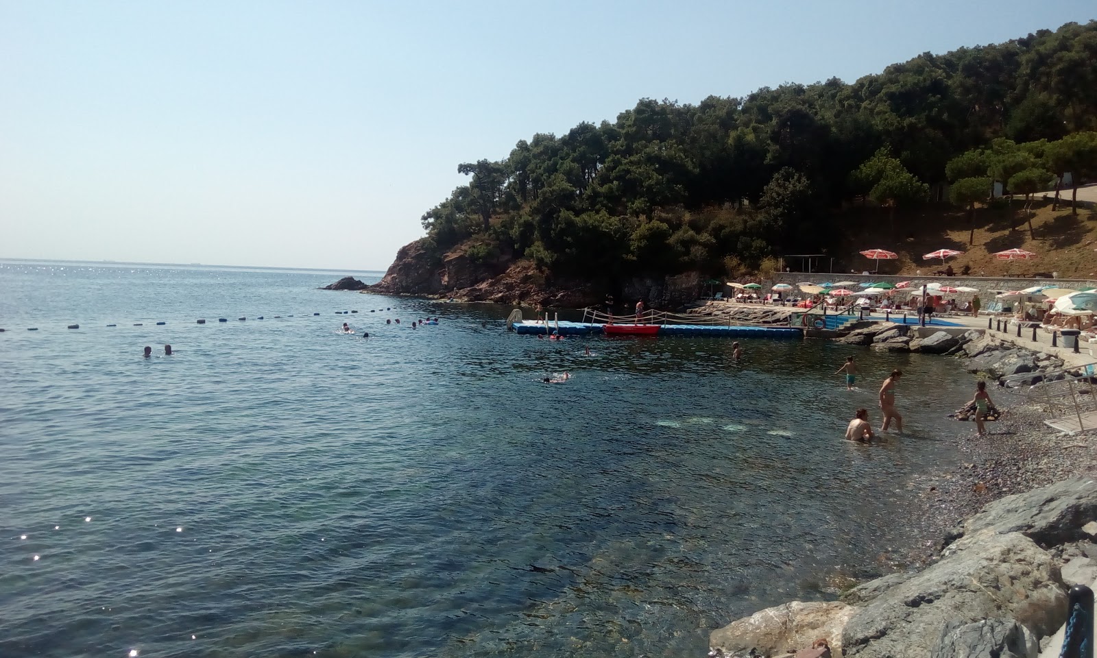 Photo of Heybeliada Beach with turquoise pure water surface