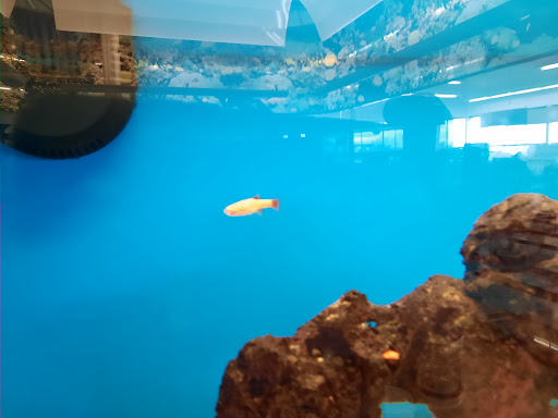 Pet Supply Store «Petco Animal Supplies», reviews and photos, 753 53rd Ave NE, Fridley, MN 55421, USA