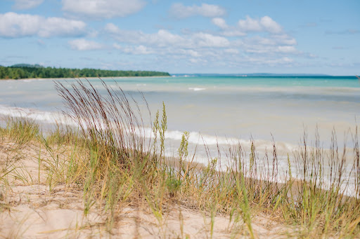 Winery «Good Harbor Vineyards», reviews and photos, 34 S Manitou Trail, Lake Leelanau, MI 49653, USA