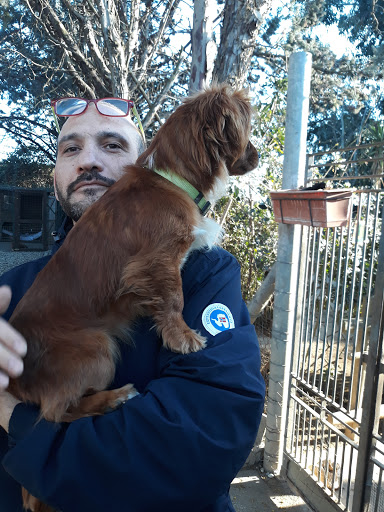 Pensioni per cani e dog hotel a New Dog'S Garden