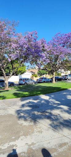 Park «Sandpointe Park», reviews and photos, 3700 S Birch St, Santa Ana, CA 92707, USA