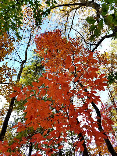 Nature Preserve «Piedmont Environmental Center», reviews and photos, 1220 Penny Rd, High Point, NC 27265, USA