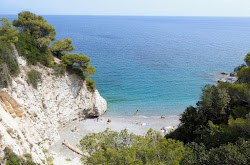 Photo de Spiaggia Punta Pròdani avec un niveau de propreté de très propre