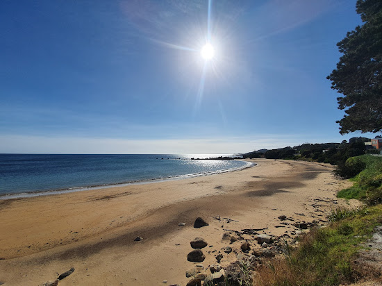 Penguin Beach