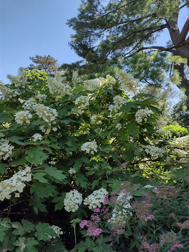 Gift Shop «NYBG Shop», reviews and photos, 2900 Southern Blvd, Bronx, NY 10458, USA