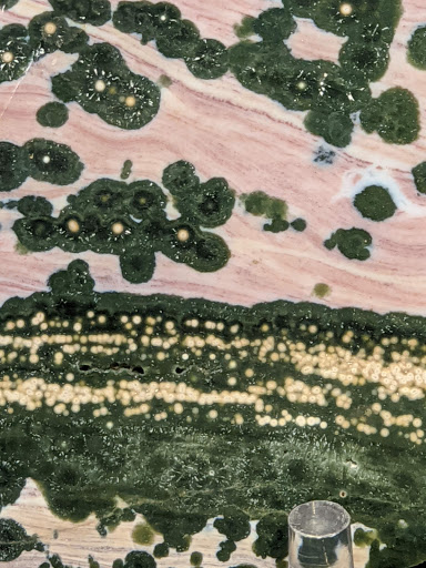 Science Museum «Asheville Museum of Science», reviews and photos, 43 Patton Ave, Asheville, NC 28801, USA