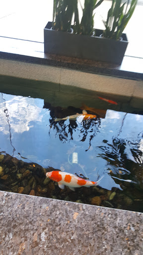 Personal Injury Attorney «Rand Spear Law Office», reviews and photos