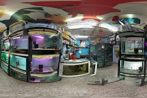 Azoo Aquarium image