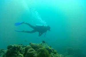 Nereo Dive Center image