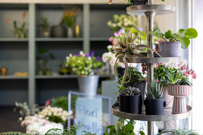Kommentare und Rezensionen über Fiori Mirella Blumenatelier