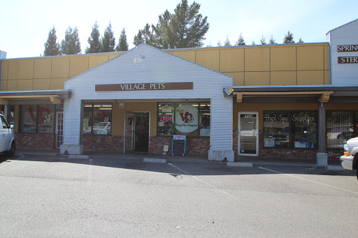 Pet Supply Store «Village Pets & Supply», reviews and photos, 4213 Montgomery Dr, Santa Rosa, CA 95405, USA