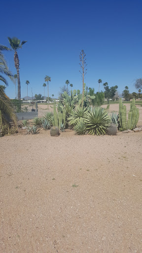 Golf Course «Desert Sands Golf Course», reviews and photos, 1922 S 74th St, Mesa, AZ 85209, USA