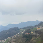 Photo n°8 de l'avis de localguide.o fait le 26/03/2023 à 16:47 sur le  Trattoria Alpina à Dossena