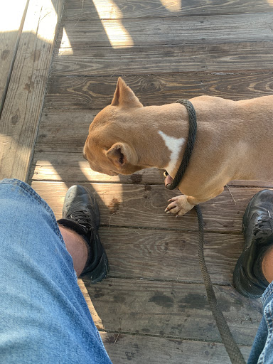 Gordon Animal Clinic image