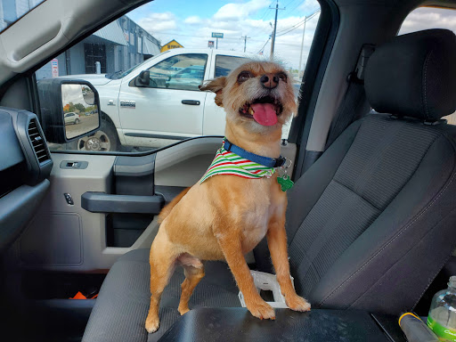 Pet Groomer «Pretty Paws Salon & Spa», reviews and photos, 604 S 77 Sunshine Strip, Harlingen, TX 78550, USA