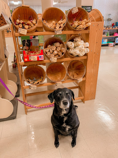 Pet Supply Store «Woof’s Dog Bakery and Holistic Pet Nutrition Center», reviews and photos, 1031 Chetco Ave, Brookings, OR 97415, USA