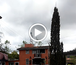 Hotel El Buen Samaritano photo