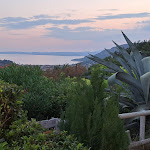 Photo n°2 de l'avis de Maria.u fait le 13/08/2022 à 21:06 sur le  Ristorante Pizzeria le Guardie à Costermano sul Garda