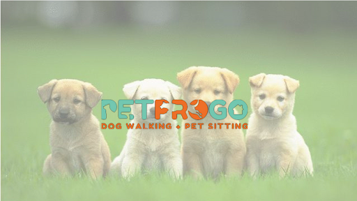 PetProGo Dog Walking + Pet Sitting