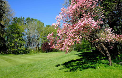 Golf Club «Salem Golf Club», reviews and photos, 2025 Golf Course Rd S, Salem, OR 97302, USA