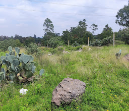 Tlaltecahuacan Park photo