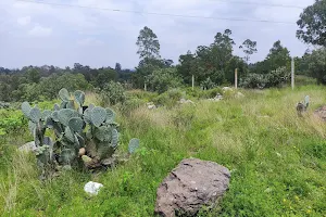 San Lucas Huitzilhuacan Garden image