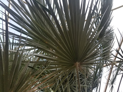 Zoo «Topeka Zoo», reviews and photos, 636 SW Zoo Pkwy, Topeka, KS 66606, USA