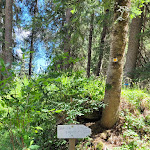 Photo n°9 de l'avis de Petra.a fait le 12/07/2022 à 07:51 sur le  Malga Fratte Val di Rabbi à Rabbi