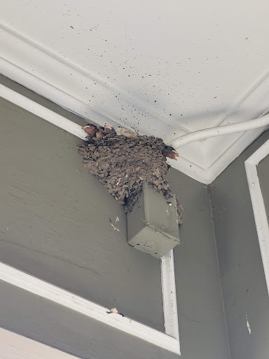 Shopping Mall «The Village», reviews and photos, 6920 Mission Rd, Prairie Village, KS 66208, USA