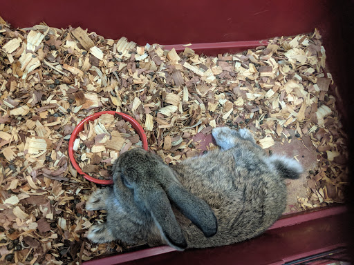 Tropical Fish Store «Caribbean Pets», reviews and photos, 298 Central Ave, Jersey City, NJ 07307, USA