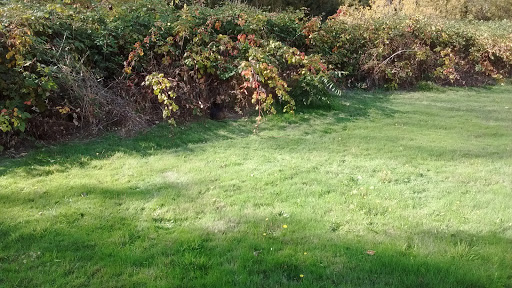 Non-Profit Organization «Habitat For Humanity», reviews and photos