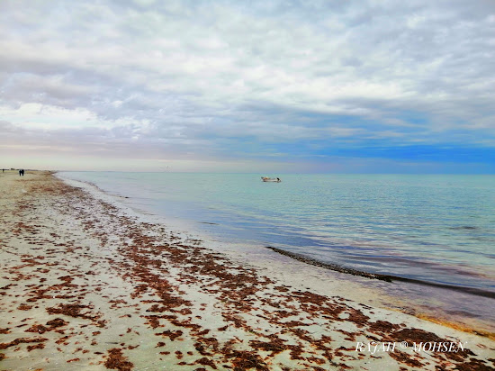 D'Oudref II beach