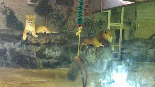 Golf Course «Como Park Golf Course», reviews and photos, 1431 Lexington Pkwy N, St Paul, MN 55103, USA