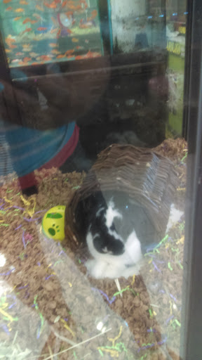 Pet Supply Store «Pet Supplies Plus», reviews and photos, 2155 Delaware Ave, Buffalo, NY 14216, USA