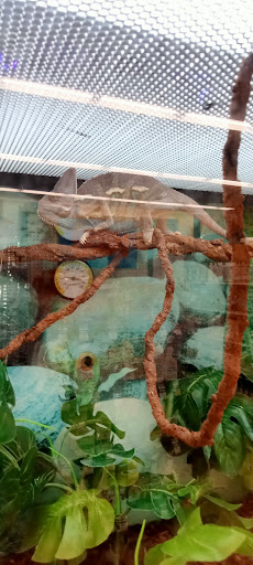 Pet Supply Store «Petco Animal Supplies», reviews and photos, 474 228th Ave NE, Sammamish, WA 98074, USA