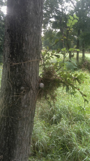 Golf Club «The Bandit Golf Club», reviews and photos, 6019 FM 725, New Braunfels, TX 78130, USA