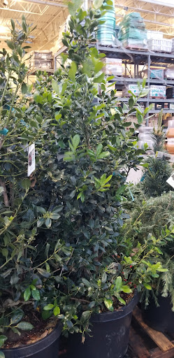 Home Improvement Store «The Home Depot», reviews and photos, 8555 Home Depot Drive, Irving, TX 75063, USA