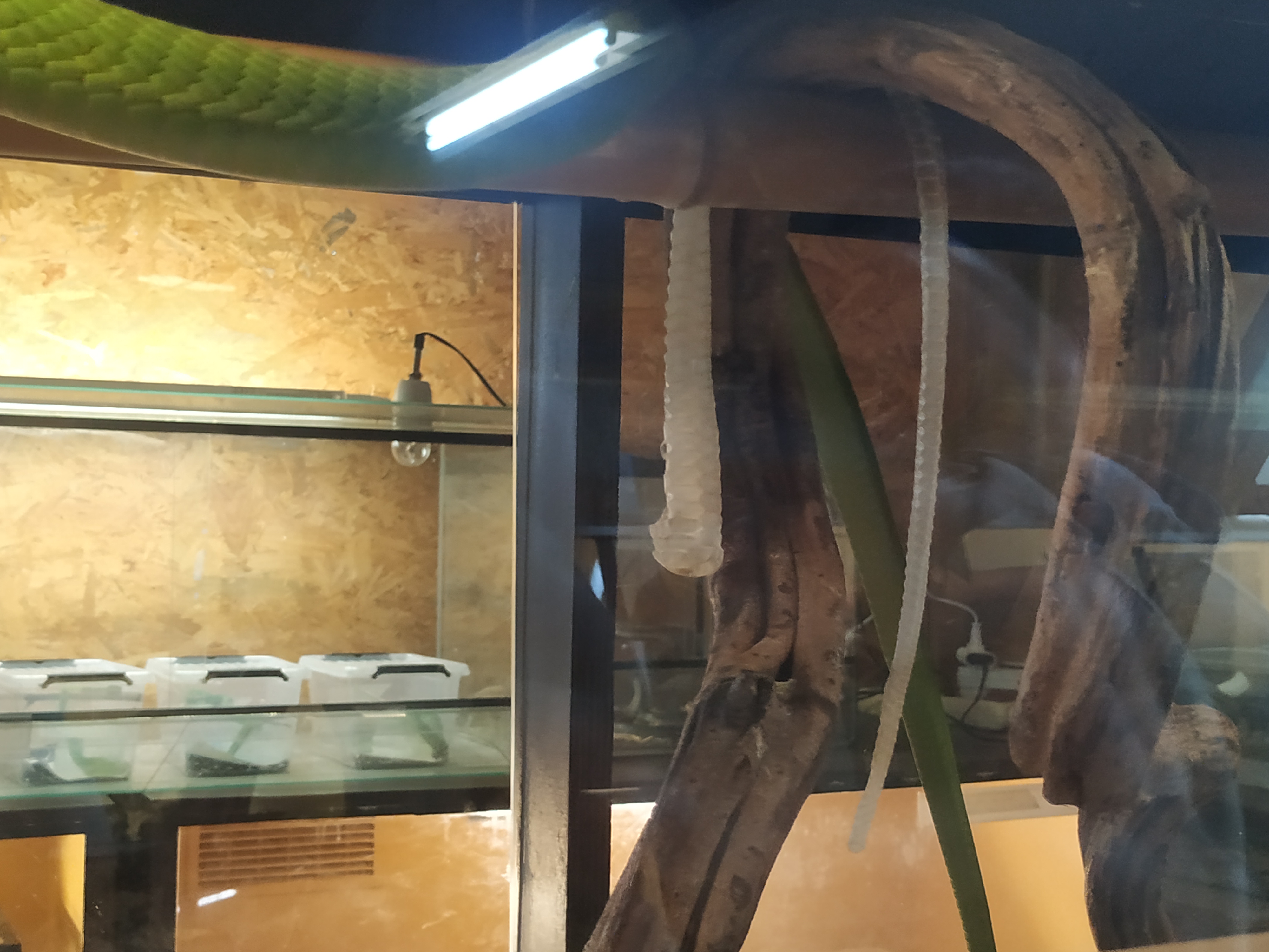 Photo n° 3 de l'avis de C-.y fait le 18/04/2022 à 21:06