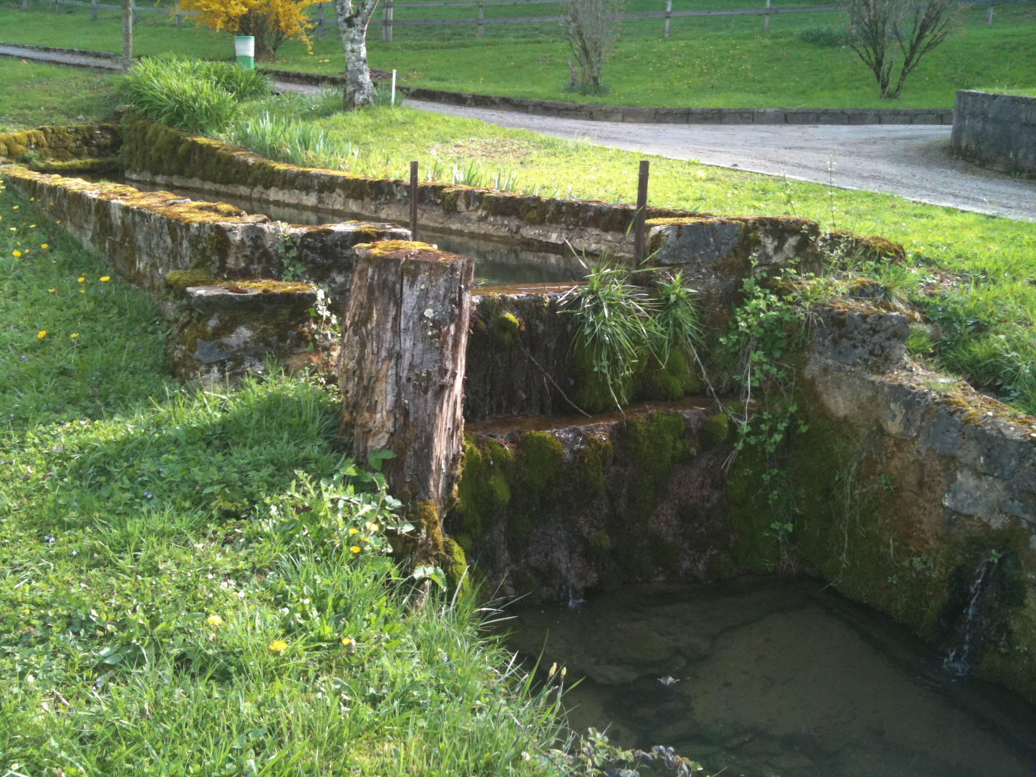 Photo n° 20 de l'avis de Marc.i fait le 24/09/2017 à 12:50
