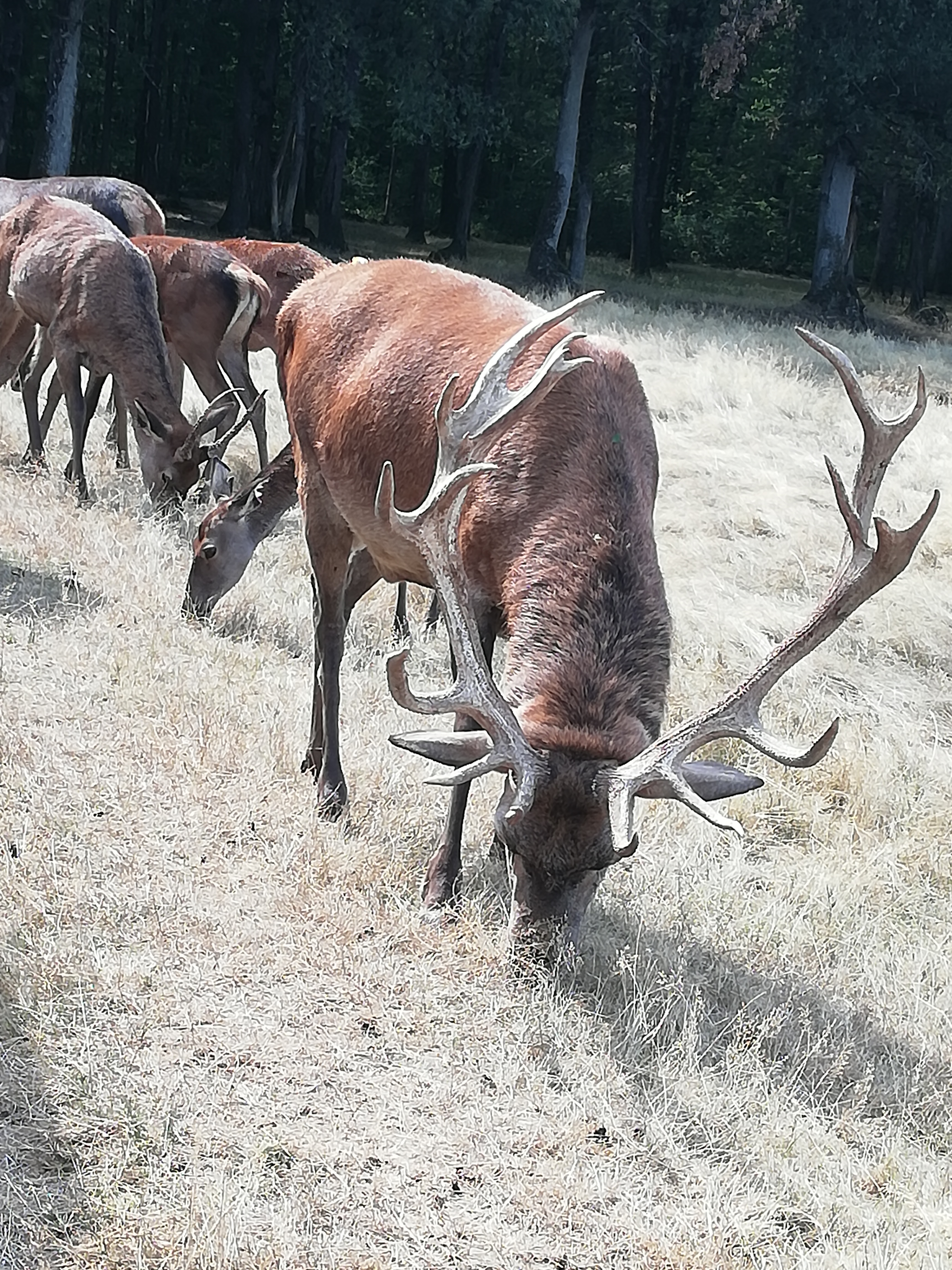 Photo n° 16 de l'avis de Severine.e fait le 23/08/2019 à 23:18