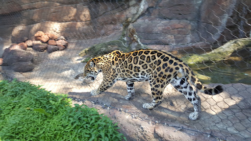 Zoo «Durhams Bear Canyon», reviews and photos, 3701 S 10th St, Omaha, NE 68107, USA