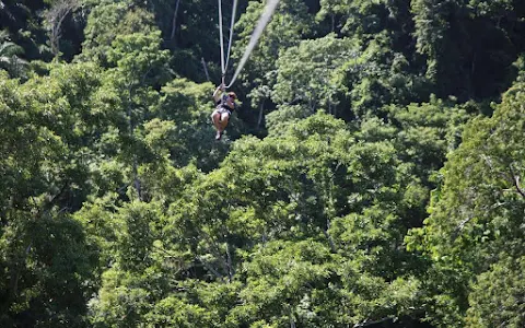 King Kong Extreme Zipline image