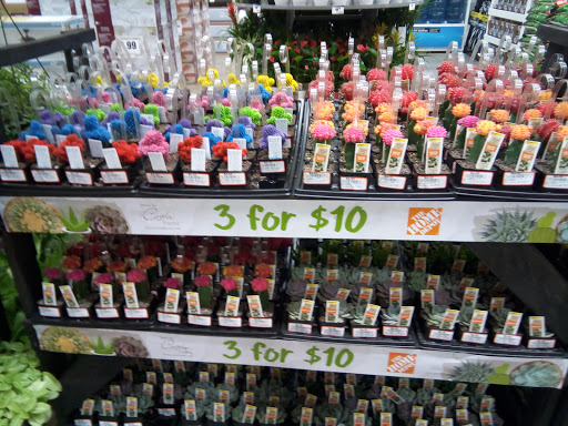 Home Improvement Store «The Home Depot», reviews and photos, 3730 Sun City Center Blvd, Ruskin, FL 33573, USA