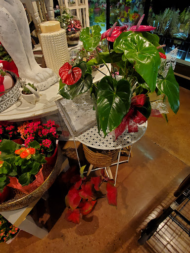 Grocery Store «Harmons», reviews and photos, 7755 700 E, Midvale, UT 84047, USA